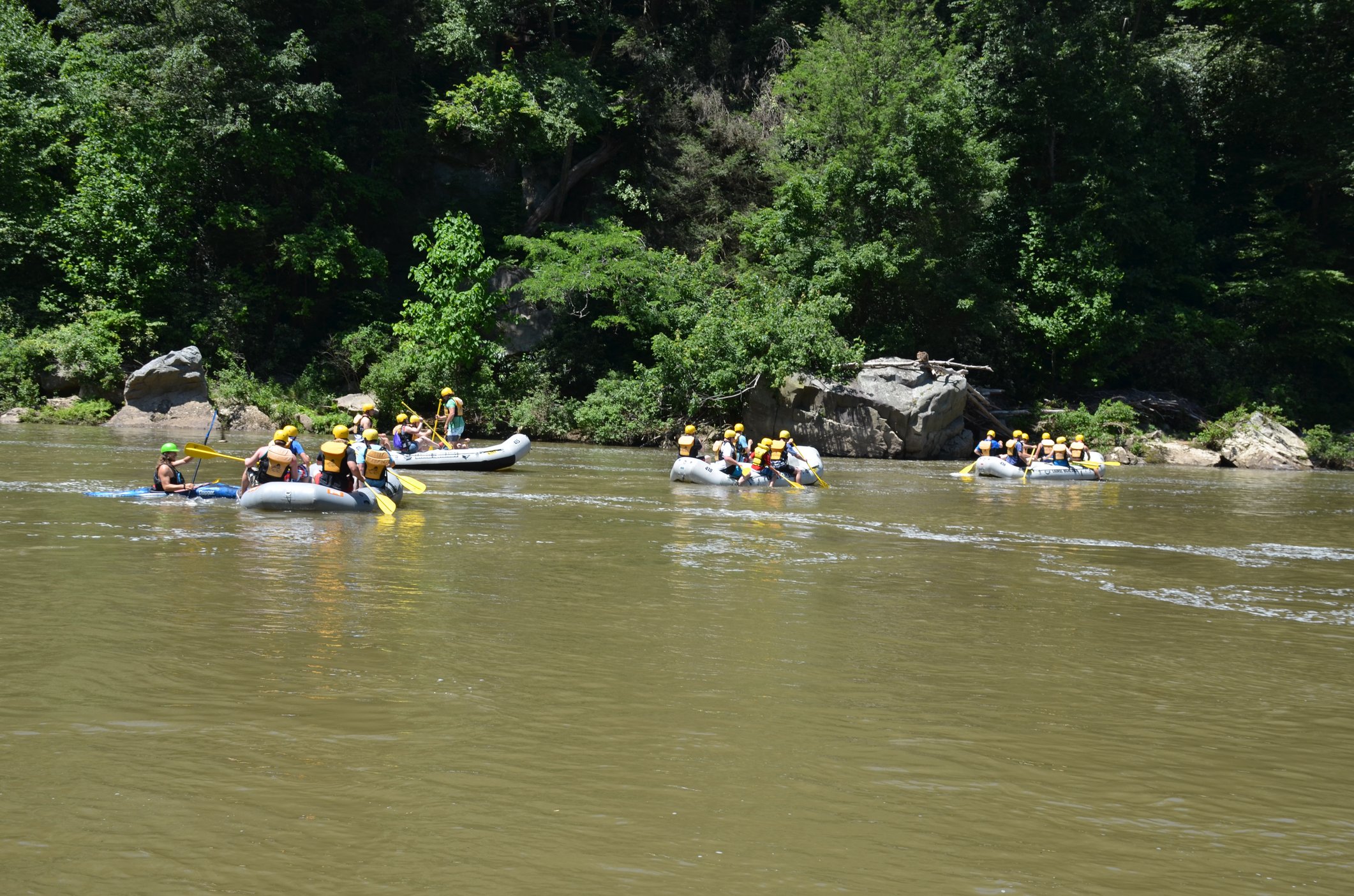 Nature and Adventure Road Trip from Chicago to Ohiopyle State Park, PA