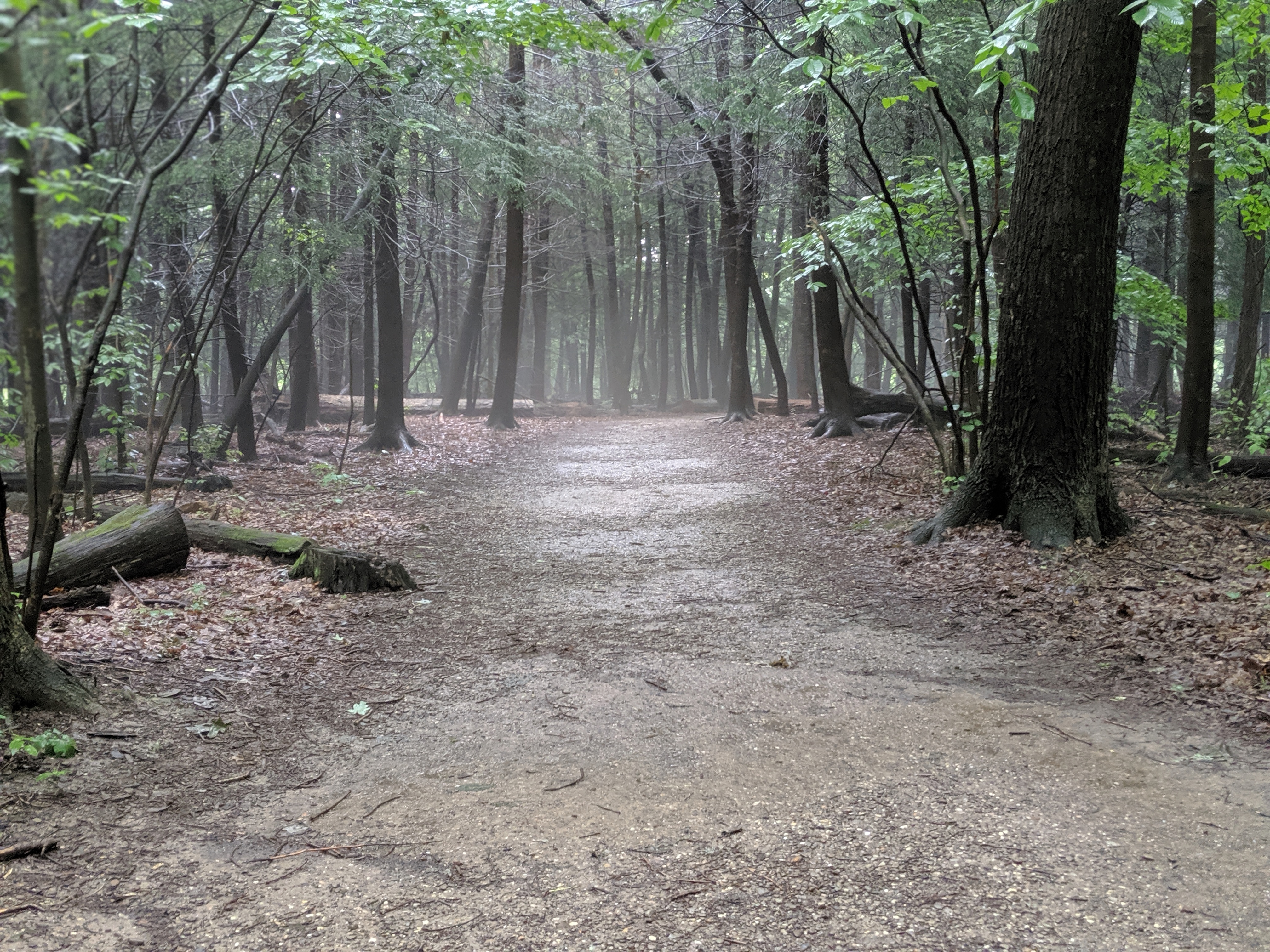 Summer Weekend Road Trip from Chicago to Cuyahoga National Park, Ohio.