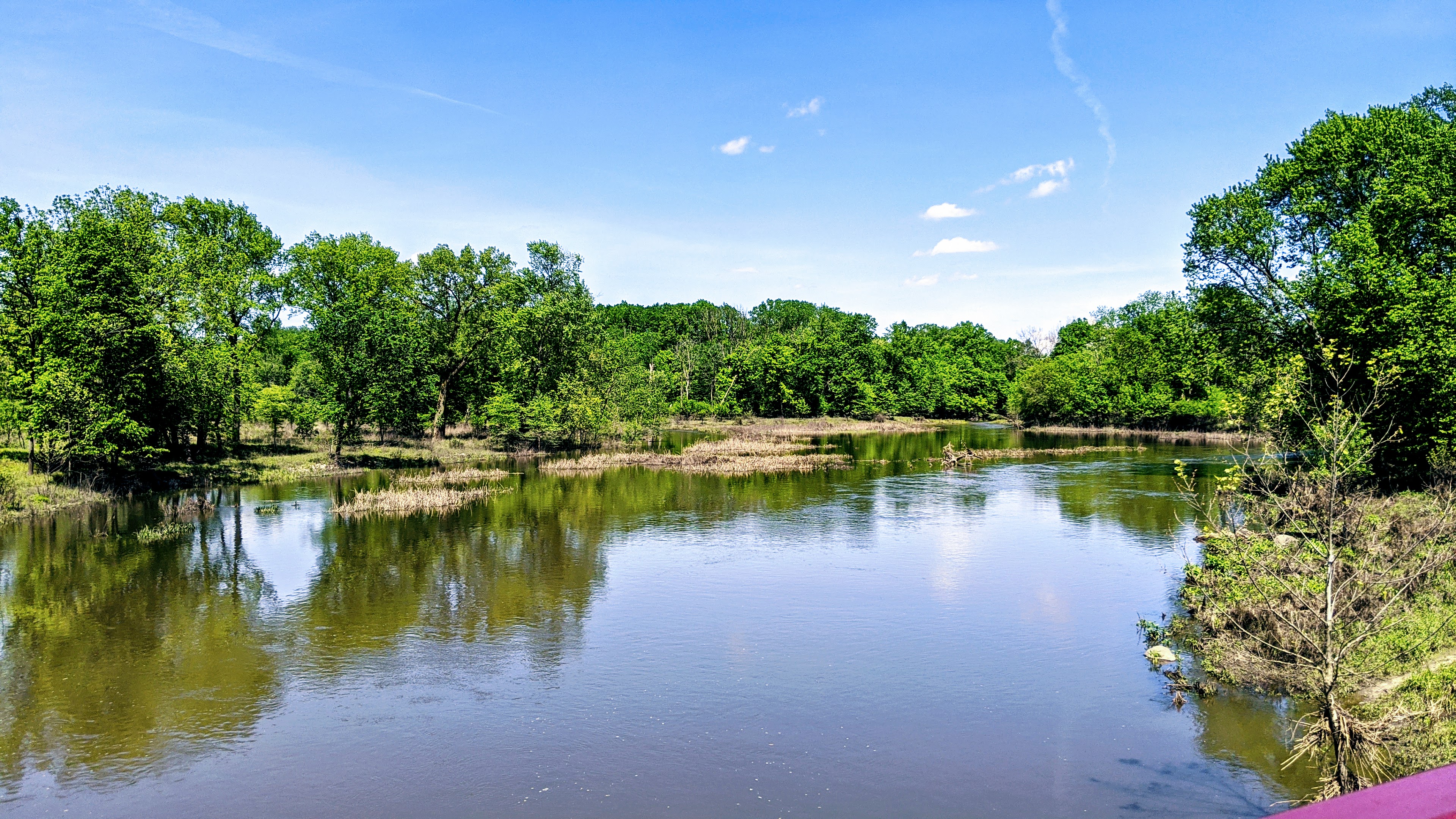 Biking and Hiking at McDowell Grove Forest Preserve, Naperville