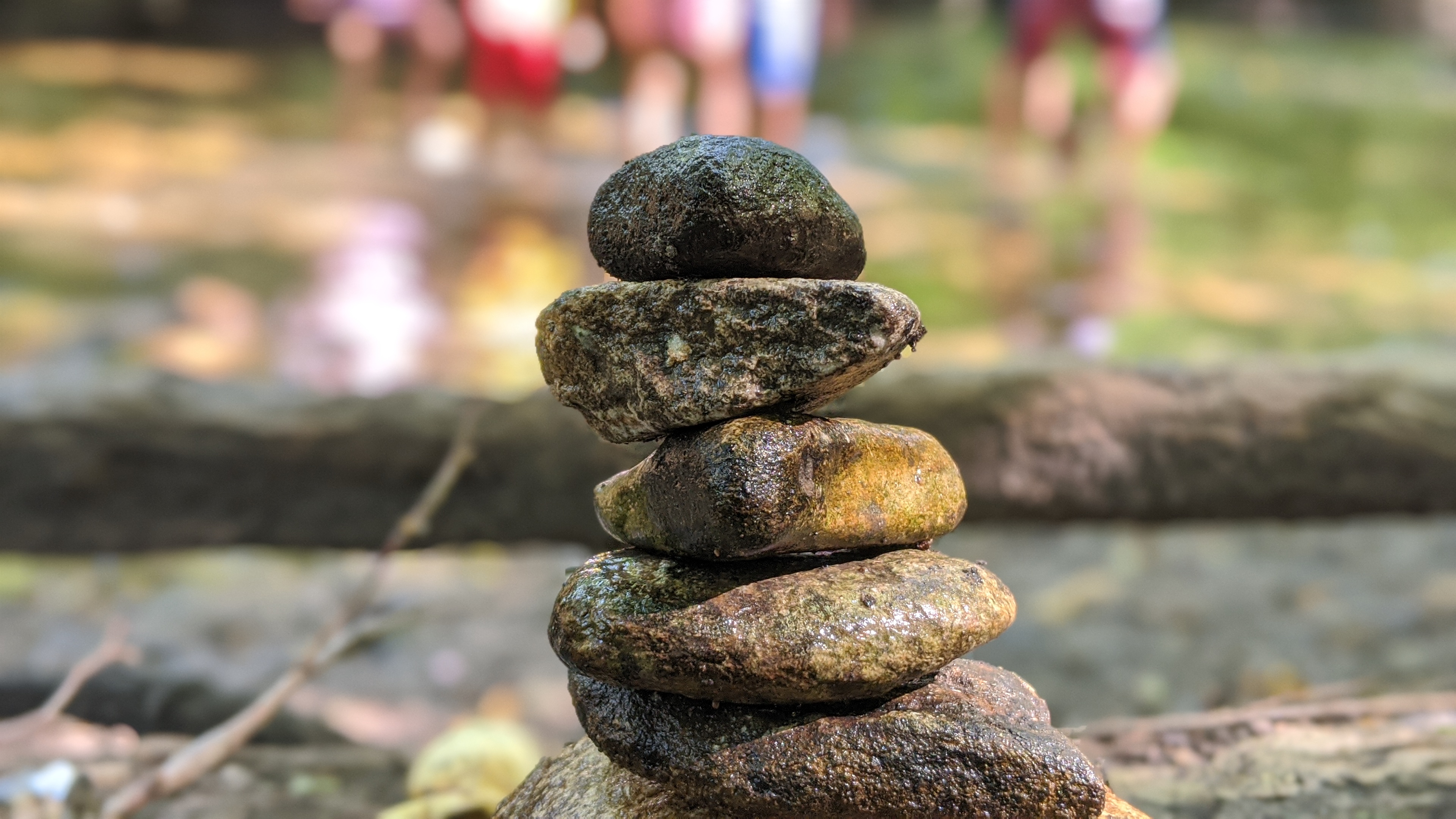 Hiking at Knoch Knolls Park And Biking At DuPage River Trail