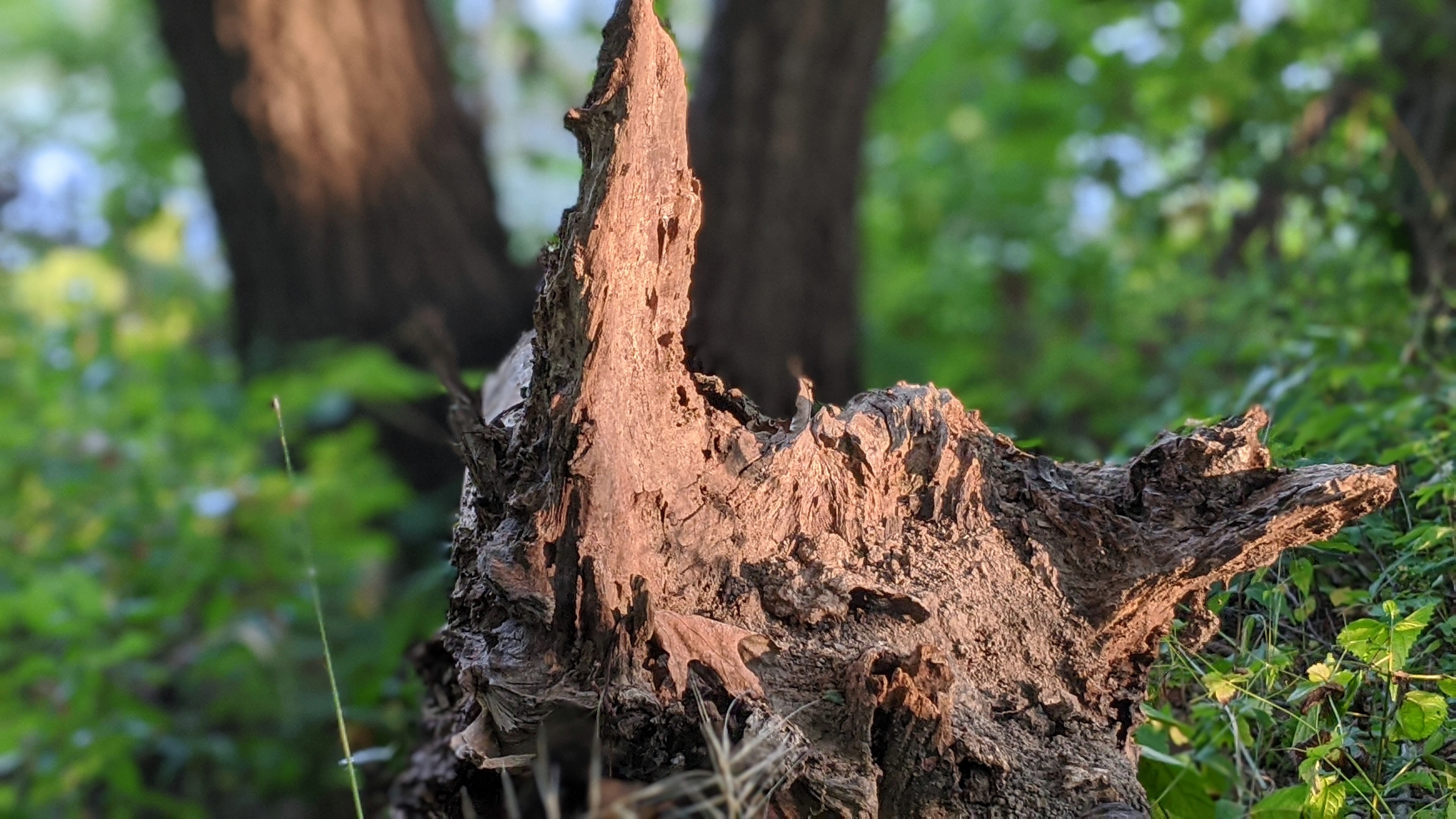 Hiking at McKinley Woods And Biking At I&M Canal Trail, Channahon