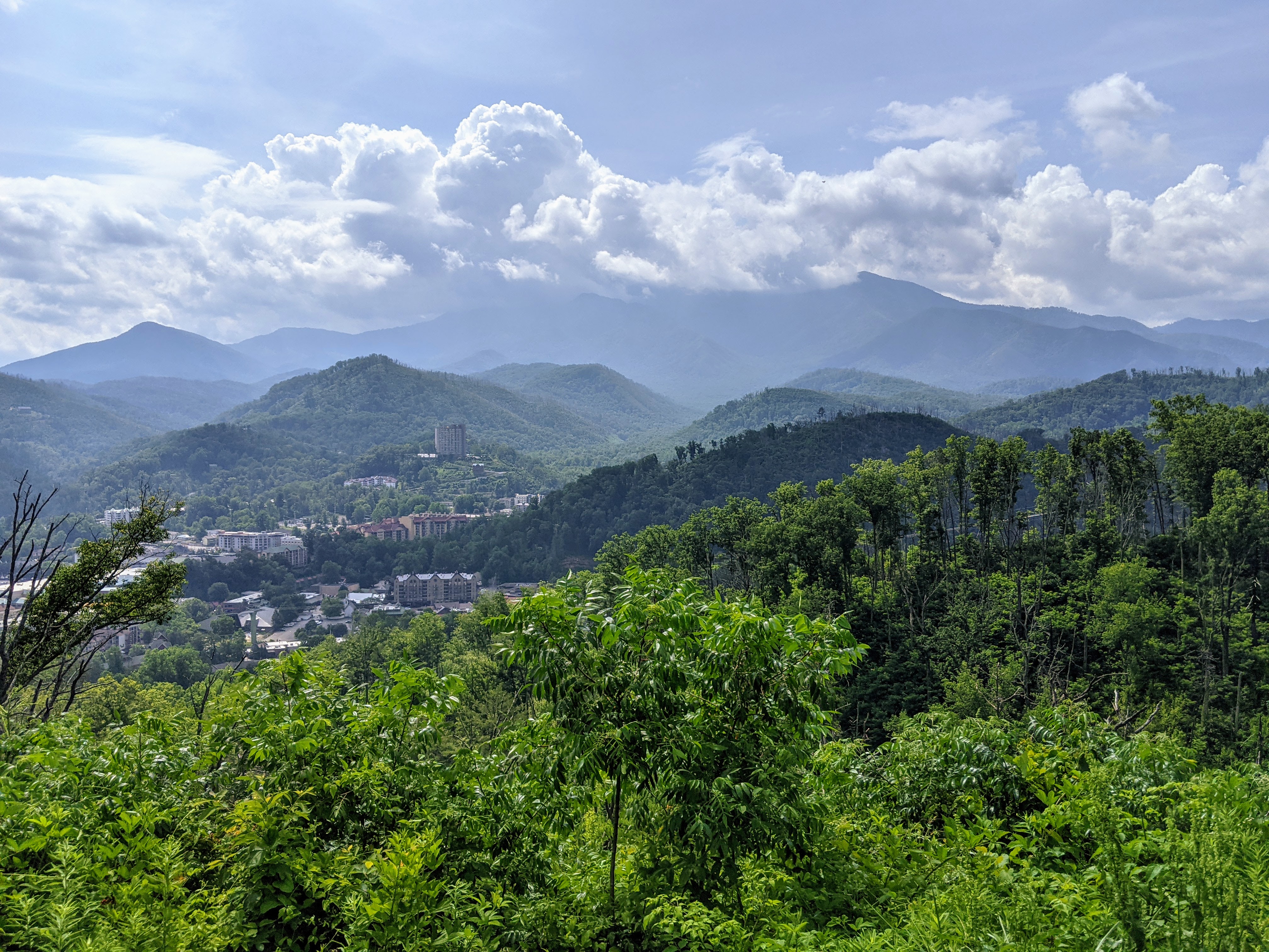 Unforgettable Family Road Trip from Chicago to The Great Smoky Mountains (Updated for 2025)