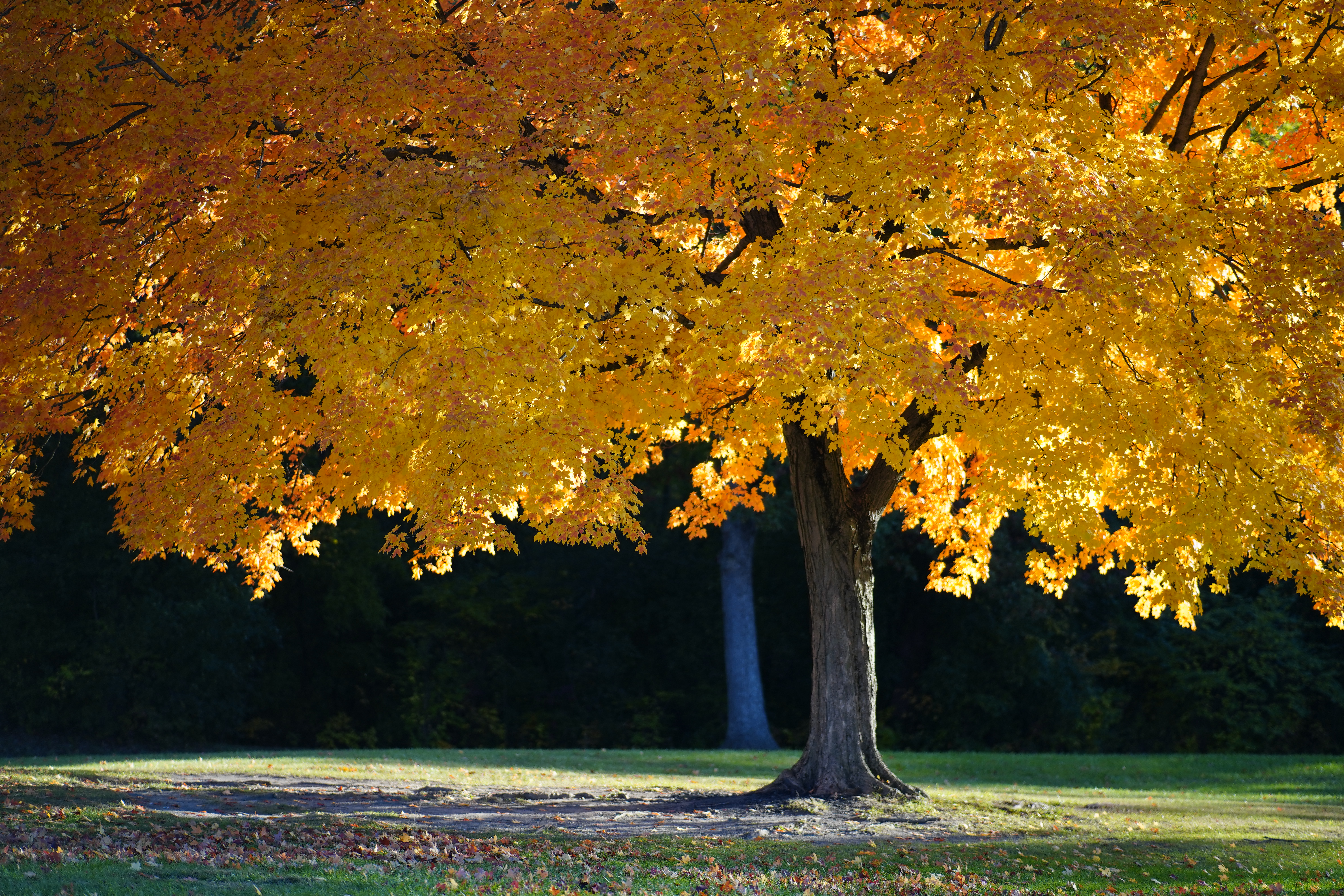 Best of Chicago Fall – 2022