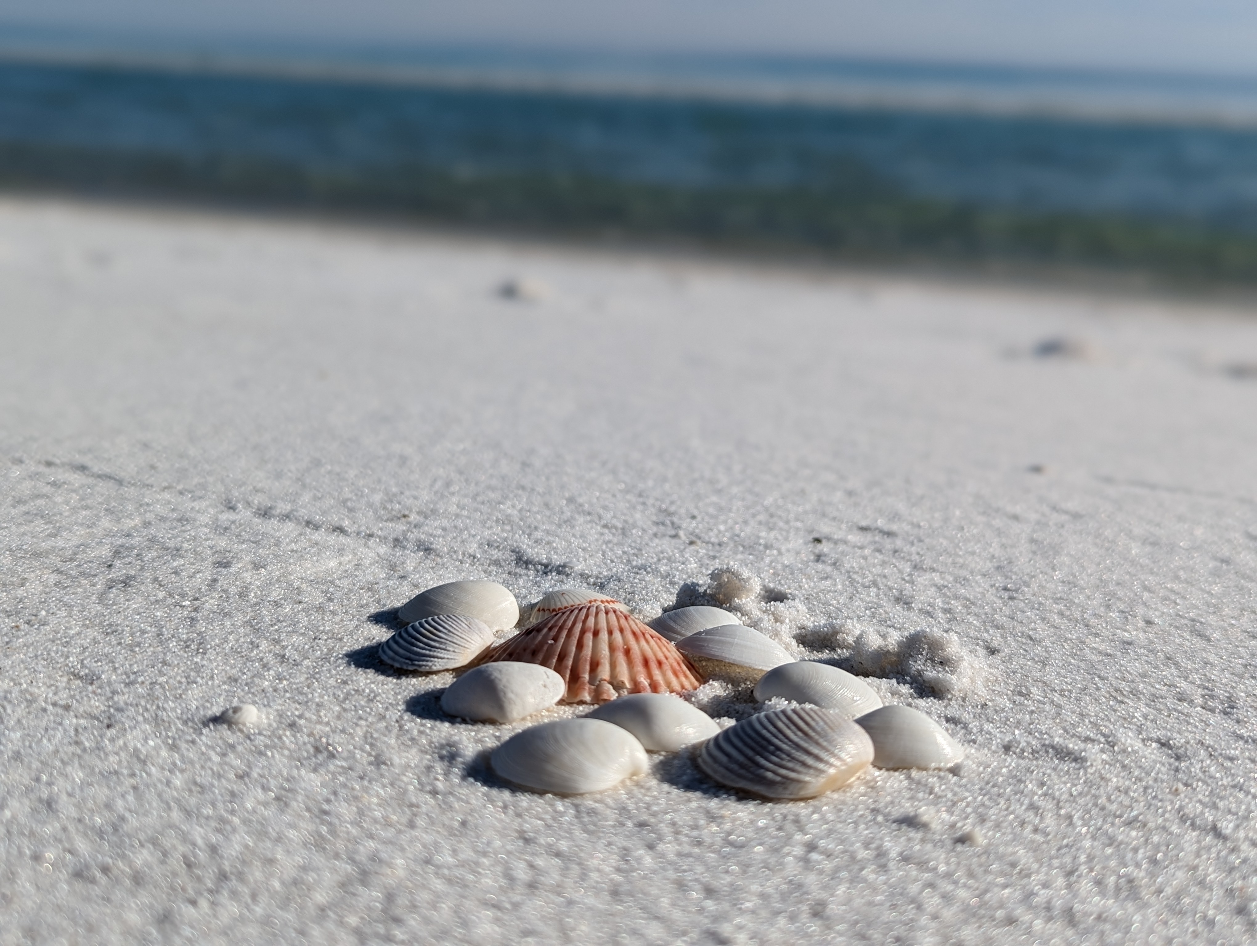 Best Chicago Road Trip Memories of  2022