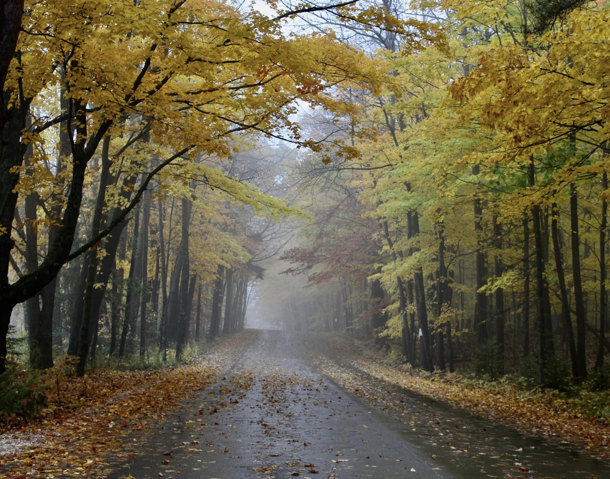 Best Weekend Road Trips and Getaways from Chicago