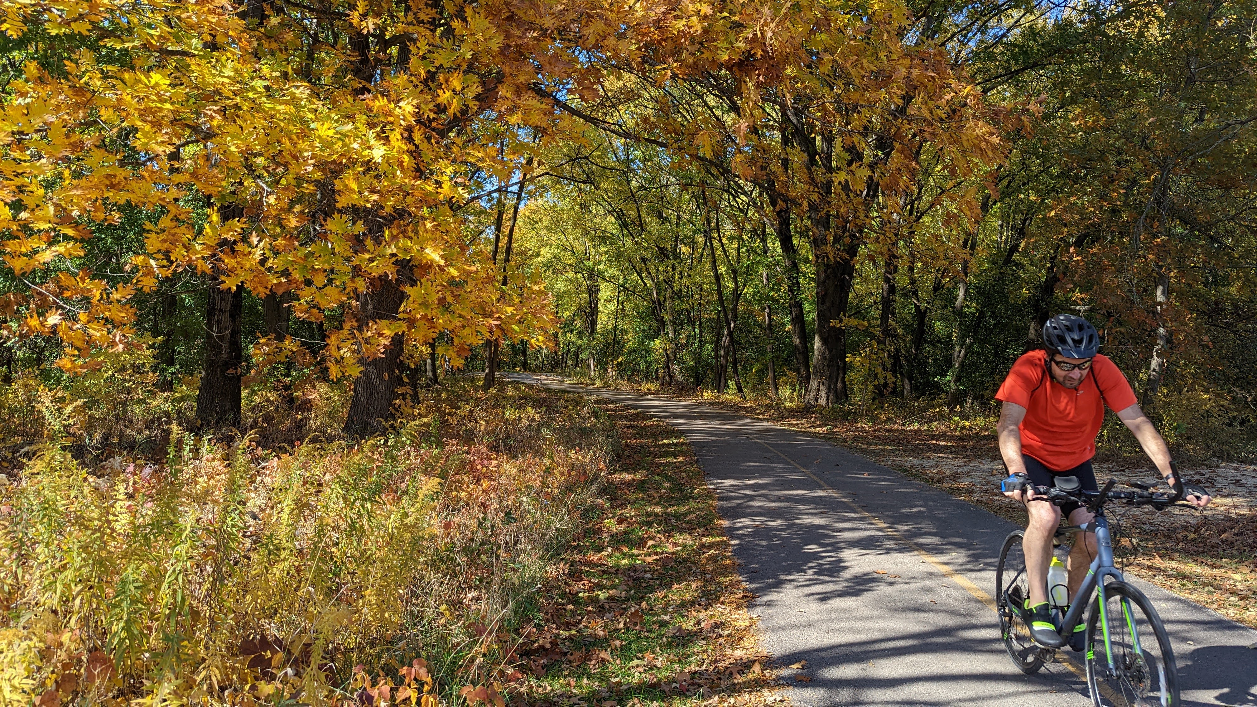 Hiking and Biking at Busse Woods, Rolling Meadows