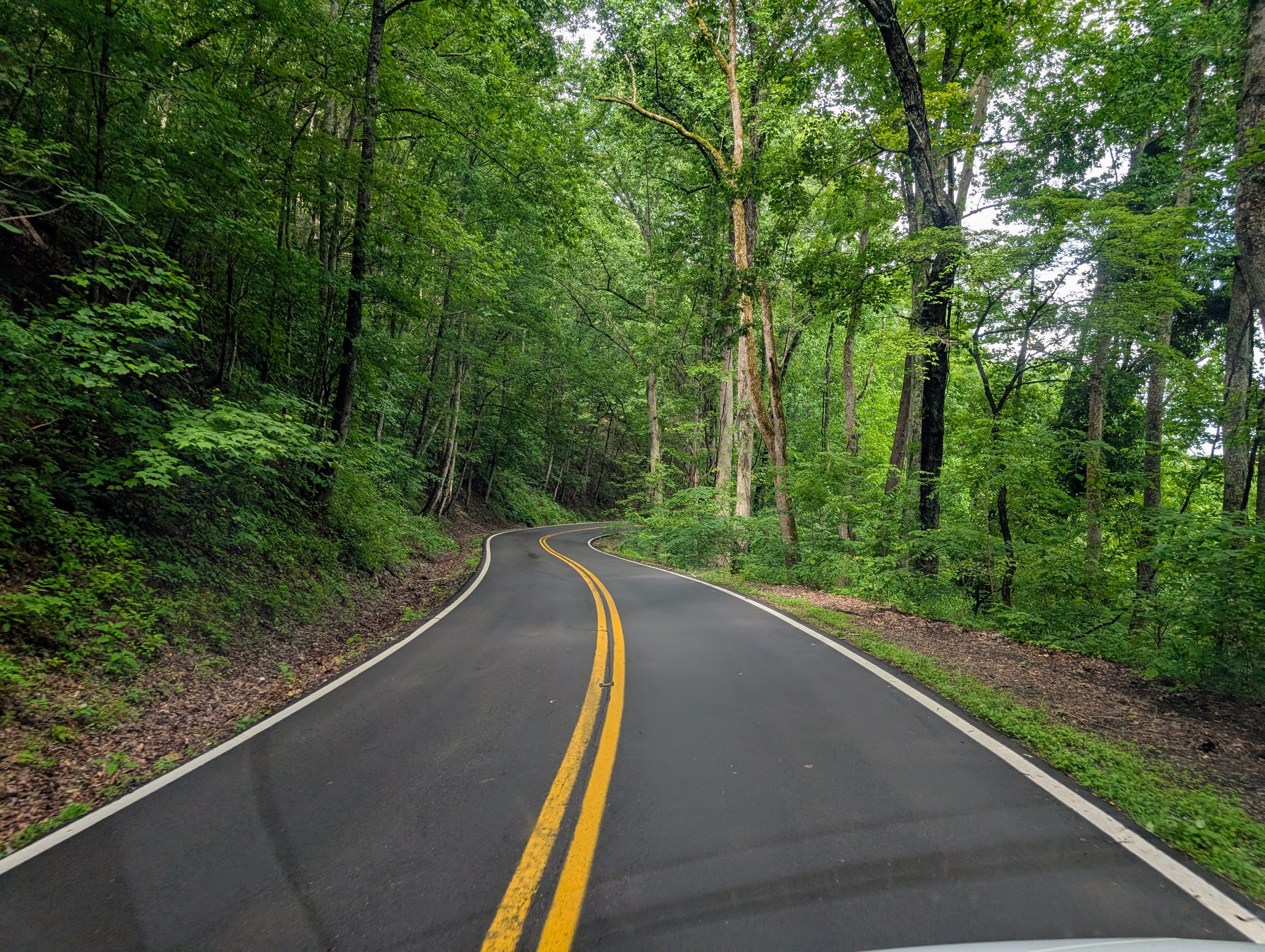 An Unplanned Road Trip To Tail of the Dragon, NC